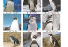 〈波佐見町〉福峰窯・鐵山窯 陶器市 G・W BIG SALE　2021/4/29（木・祝）~5/5（水）