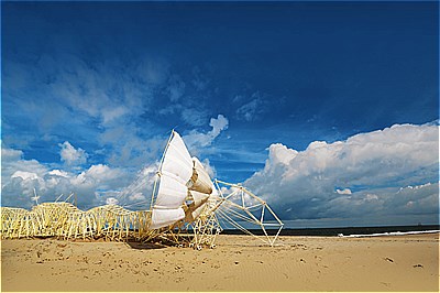 〈熊本県〉テオ・ヤンセン展　~2021/09/12（日）