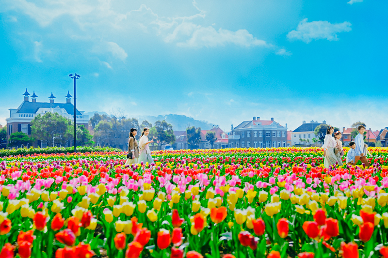 観光 トピックス ハウステンボス 長崎県民感謝キャンペーン22 2 26 土 3 18 金 ながさきプレスwebマガジン 長崎のタウン情報誌公式サイト