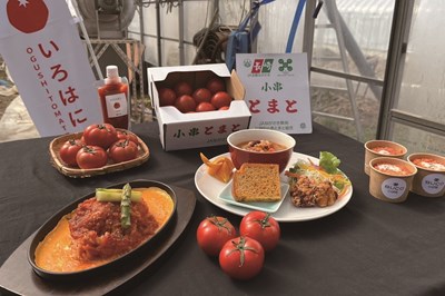 小串トマトの魅力を伝える活動 「いろはにとまとプロジェクト」に注目!