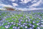 〈長崎県〉青空楽校 IN 高島