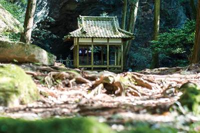 〈Spot ⑥〉岩戸神社