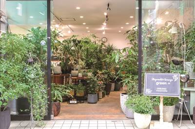 〈Spot ⑮〉重松花屋 green+