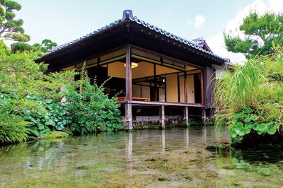 〈Spot ④〉鯉の泳ぐまち／湧水庭園 四明荘