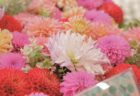 〈大村市〉やすなが決算セール！　2022/6/10（金）～6/22（水）
