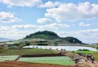 〈熊本県〉天草 伊勢えび＆車えび　海老えびフェア　～2022/12/28(水)