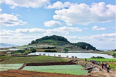 〈南島原市〉ながさきに婚ね！オンライン婚活 in 南島原