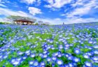 ＜長崎市＞こどもでじまはく ～GWは遊びつくそう!!～　～2023/5/7(日)