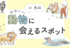 【大村市】大村公園