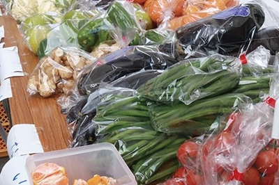 恒例の「ながさき実り・恵みの感謝祭」でながさきの“旬”をもっと楽しもう！