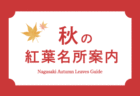 〈春のおでかけはSAGA推し〉ながさきプレス編集部イチオシ！『今、佐賀で人気の体験プラン＆イベント』