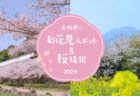 スリランカ旅が初めてでも楽しめる 内容盛りだくさんアーユルヴェーダツアー！　2025年7月19日（土）～7月25日（金）