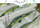 〈佐世保〉メリッタKid’s SASEBO「2周年記念　大菓子まき会」　2024年3月31日(日)