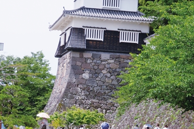 ＜大村市＞おおむら花菖蒲まつり　2024年6月1日(土)