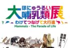 〈諫早神社〉夏越の大祓　～2024年7月15日（月）