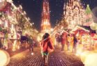 〈諫早市〉くすのきまるしぇ　2024年11月23日（土 祝）