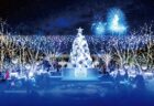 〈佐賀県〉イマリ・キャンドル・クリスマス　2024年12月21日（土）～12月22日（日）