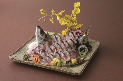 唐津自慢のブランド魚「唐津Qさば」 絶品創作和食＆地酒で堪能！！