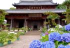 〈福岡県〉伊藤潤二展 誘惑　2025年6月1日（日）～7月13日（日）