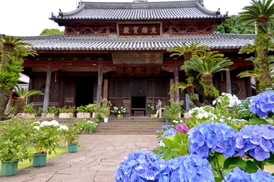 〈長崎市〉紫陽花祭「第38回紫陽花季～雨にけむる花たち」　2025年5月27日（火）～6月8日（日）