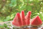 スイカの季節がやってきた! きんかい味彩市で「すいかまつり」開催!!