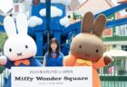 橋本環奈さんが語る「Miffy Wonder Square」とハウステンボスの思い出
