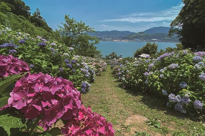 〈大村市〉美さわ園