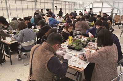 婚活イベント・セミナーに参加、申込みをすると 「お見合いシステム」登録料が半額に！