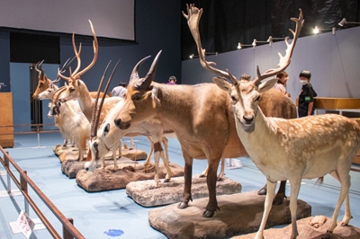 〈佐賀県〉巡回展「WHO ARE WE　観察と発見の生物学」に行ってみた！　2025年10月11日（土）～ 12月14日（日）