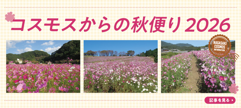 コスモスからの秋便り2026