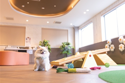 L’s Dog Run　2025年7月