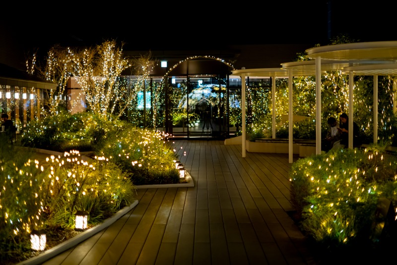 アミュプラザのイルミネーション