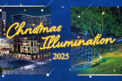 〈長崎〉クリスマスイルミネーション 2025