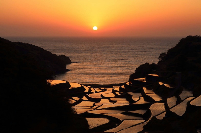 浜野浦の棚田