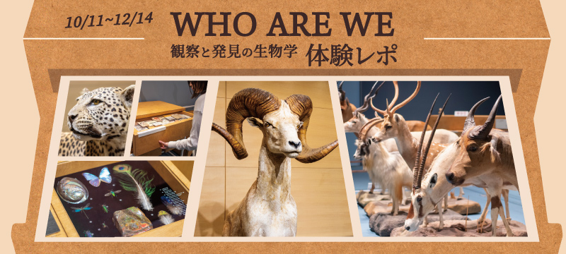 巡回展「WHO ARE WE　観察と発見の生物学」に行ってみた！