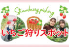 【長崎】いちご狩りスポット 2026