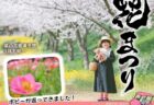 〈島原市〉春の花まつり　～5月中旬