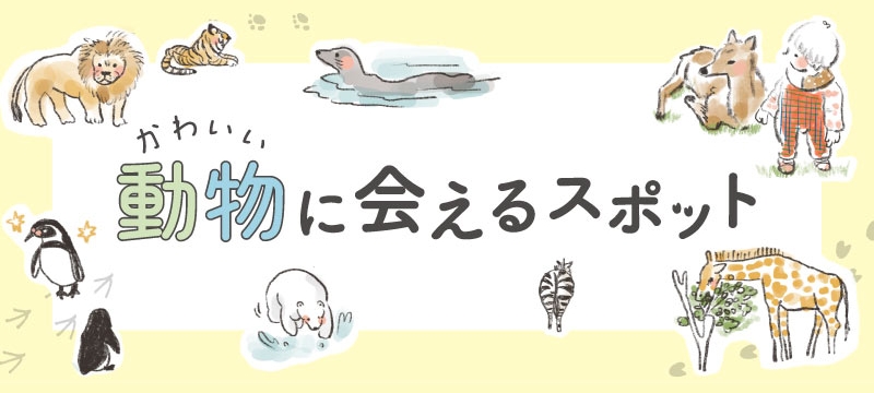 かわいい動物に会えるスポット in 長崎