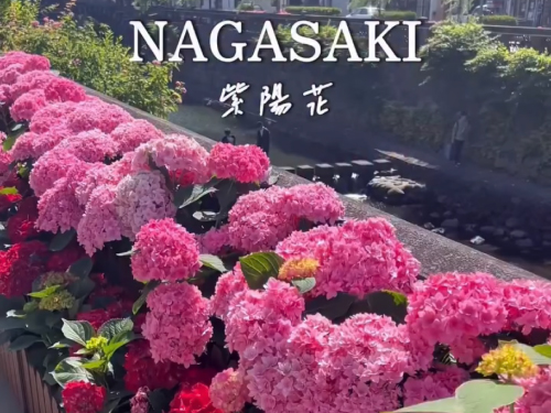 Instagram動画を見る