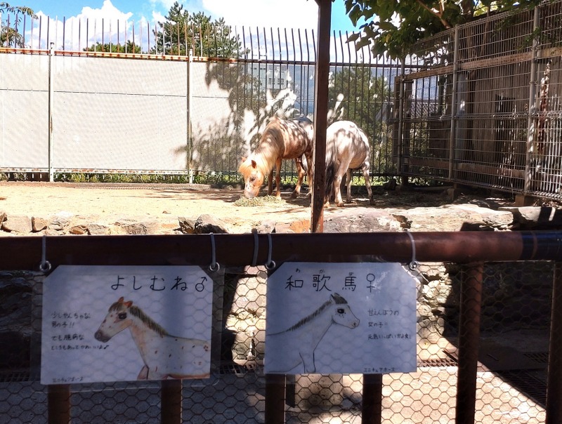 徳川八代将軍のお名前をつけられたお馬さんもいます（笑）